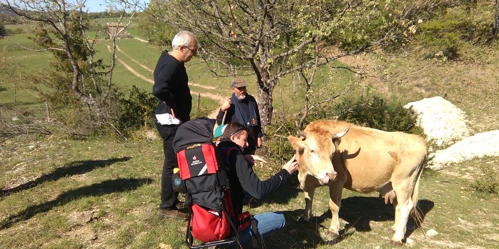 contact auprès des animaux -  Fontaine Neuve (Provence-Alpes-Côte d’Azur, Alpes-de-Haute-Provence)