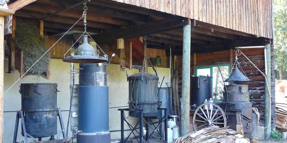 l'alambic -  SOLAURE distillery farm (Auvergne-Rhône-Alpes, Drôme)