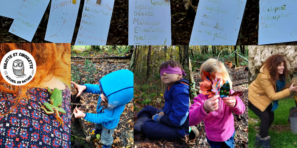  Jardin de la Bardonnière (Pays de la Loire, Vendée)
