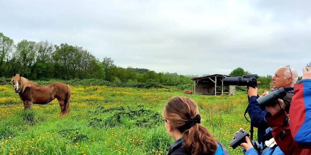  Jardin de la Bardonnière (Pays de la Loire, Vendée)