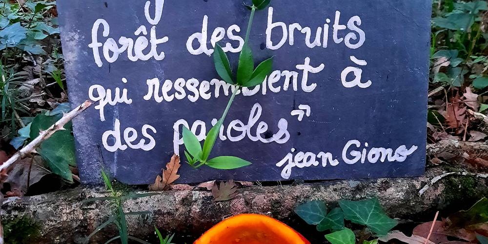  Jardin de la Bardonnière (Pays de la Loire, Vendée)