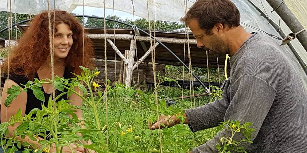  Jardin de la Bardonnière (Pays de la Loire, Vendée)