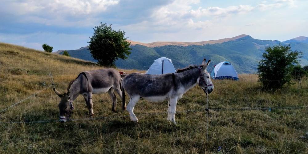  Camping à la ferme Bamboul'âne Méouge (Provence-Alpes-Côte d’Azur, Hautes-Alpes)