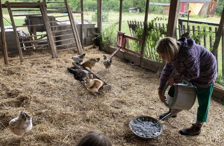  LA CAILLE (Auvergne-Rhône-Alpes, Allier)