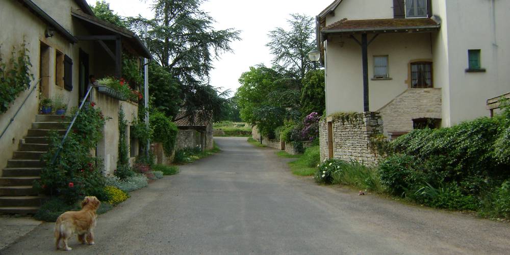 La rue du bourg -  GÎTE PAYSAN (Bourgogne-Franche-Comté, Saône-et-Loire)