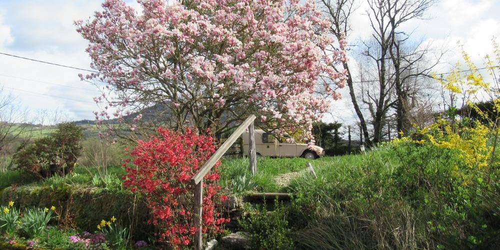 tout en fleurs -  Gite Lamourette (Bourgogne-Franche-Comté, Jura)