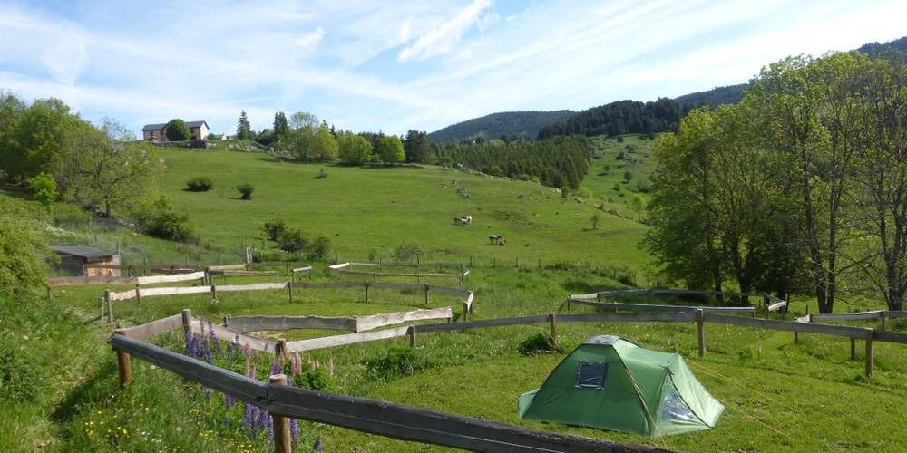  Camping de La Llagonne (Occitanie, Pyrénées-Orientales)
