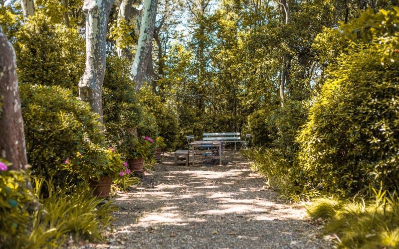  Farm Inn: L'Olivette de Langel (Occitanie, Aude)