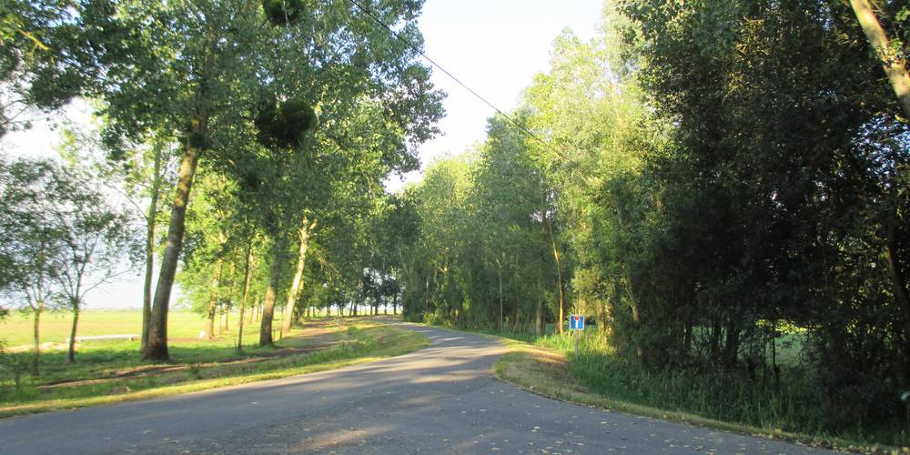 Arrivée au Bas Fief -  GITE DE GRAND LIEU (Pays de la Loire, Loire-Atlantique)