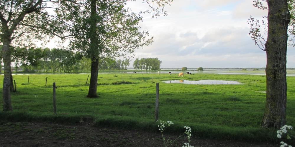 le marais -  GITE DE GRAND LIEU (Pays de la Loire, Loire-Atlantique)