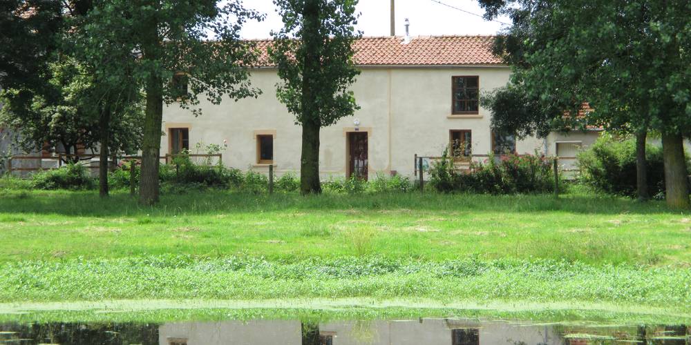 vue du marais -  GITE DE GRAND LIEU (Pays de la Loire, Loire-Atlantique)