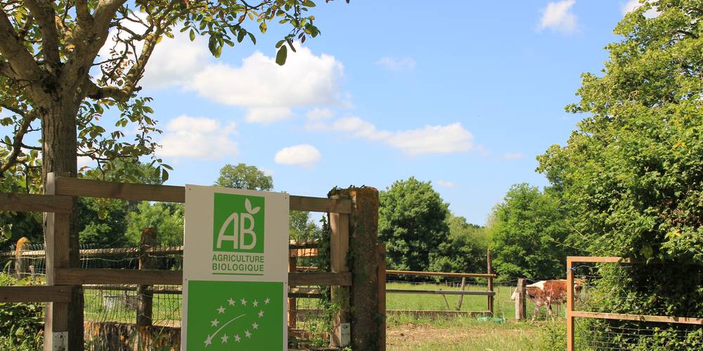 Agriculture Bio -  GITE DE GRAND LIEU (Pays de la Loire, Loire-Atlantique)