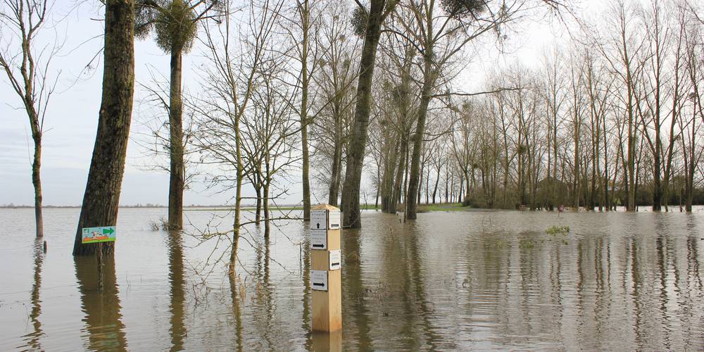 arrivée inondée au Bas Fief en hiver -  GITE DE GRAND LIEU (Pays de la Loire, Loire-Atlantique)