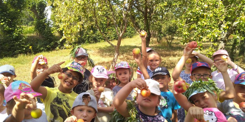  JARDIN DE DRAECK (Hauts-de-France, Pas-de-Calais)