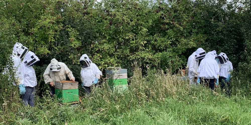  JARDIN DE DRAECK (Hauts-de-France, Pas-de-Calais)
