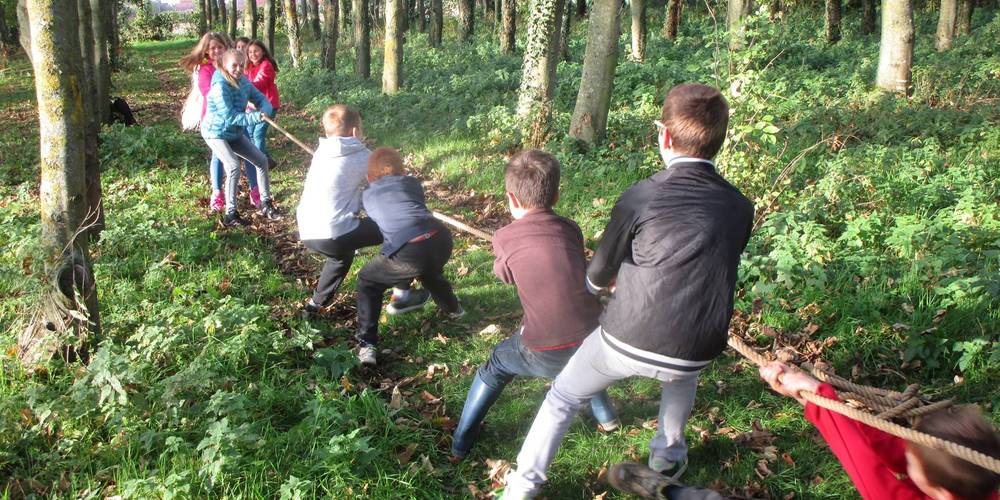  JARDIN DE DRAECK (Hauts-de-France, Pas-de-Calais)