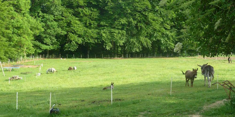  Kaly's barn (Auvergne-Rhône-Alpes, Puy-de-Dôme)