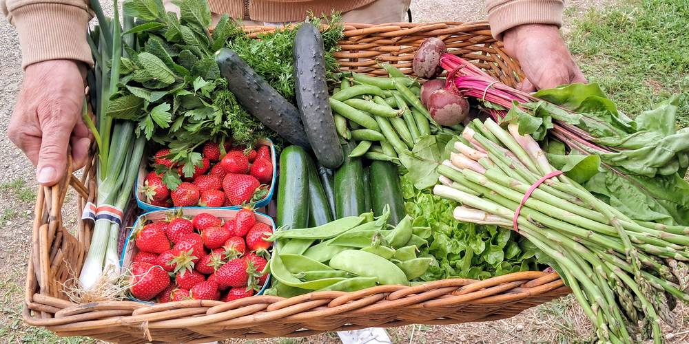 panier de bienvenue avril -  Les Fiolles (Provence-Alpes-Côte d’Azur, Bouches-du-Rhône)
