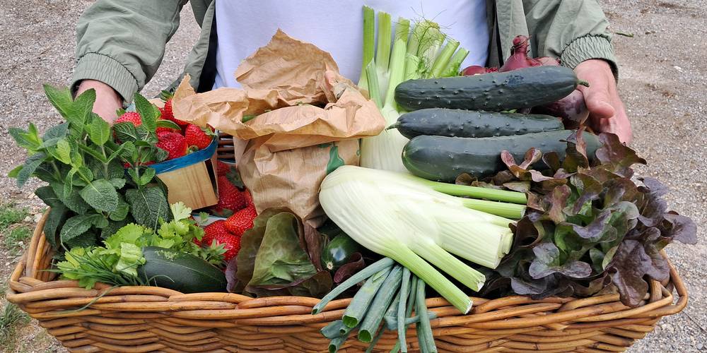 panier de bienvenue mai -  Les Fiolles (Provence-Alpes-Côte d’Azur, Bouches-du-Rhône)