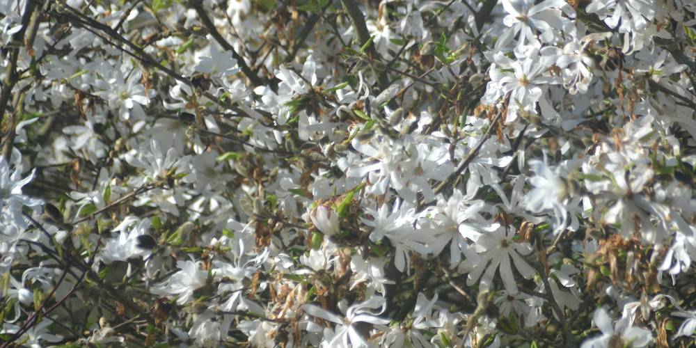  Le Clos Masure Gîte à 15 min de la mer (Normandie, Seine-Maritime)