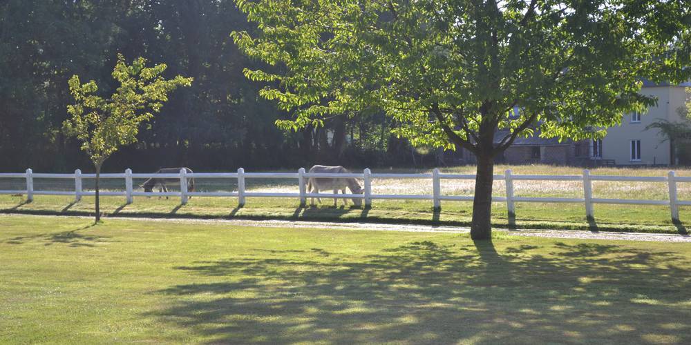 espace au gîte -  Le Clos Masure Gîte à 15 min de la mer (Normandie, Seine-Maritime)