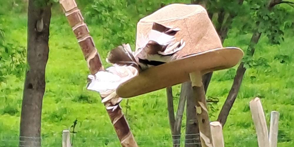  Gîte la Ferme de Servanges  -Parcours pieds nus "Lou Pié-Déchô" (Auvergne-Rhône-Alpes, Loire)