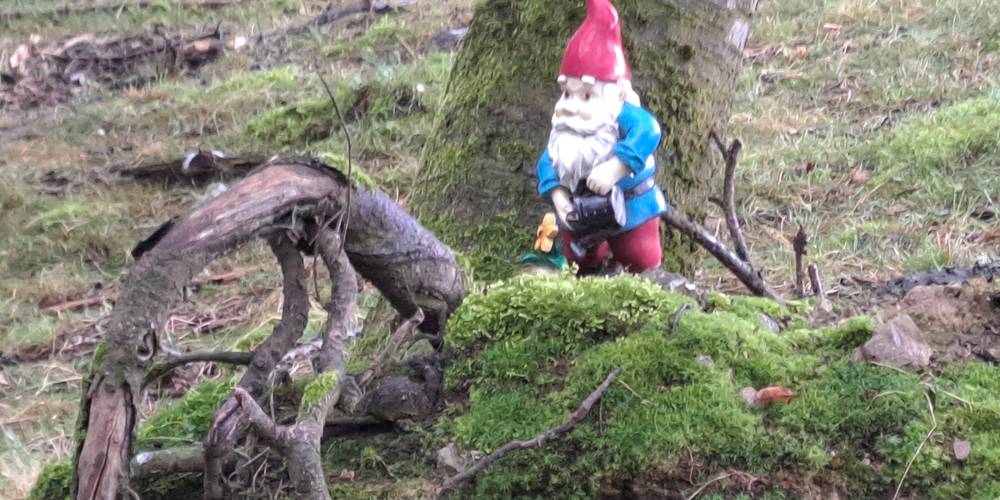  Gîte la Ferme de Servanges  -Parcours pieds nus "Lou Pié-Déchô" (Auvergne-Rhône-Alpes, Loire)