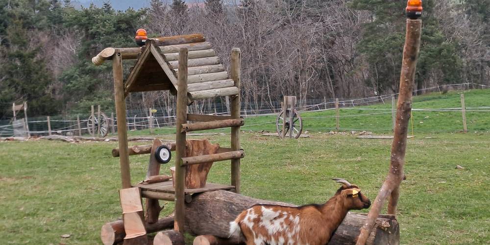  Gîte la Ferme de Servanges  -Parcours pieds nus "Lou Pié-Déchô" (Auvergne-Rhône-Alpes, Loire)