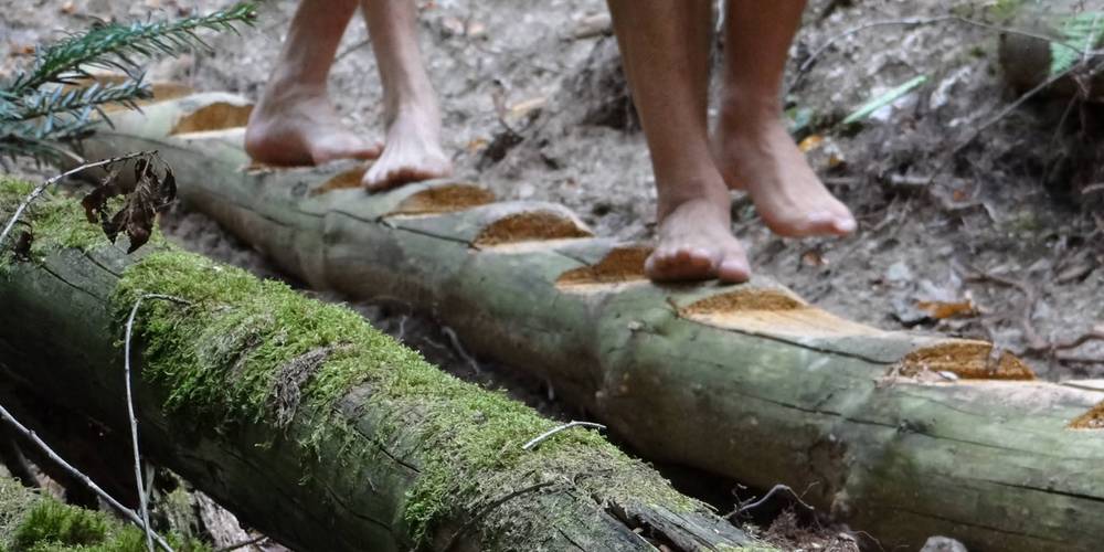  Gîte la Ferme de Servanges  -Parcours pieds nus "Lou Pié-Déchô" (Auvergne-Rhône-Alpes, Loire)