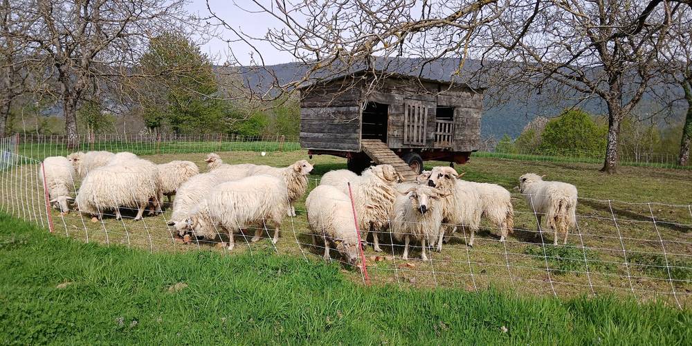  LE CHÂTEAU PARTAGE (Auvergne-Rhône-Alpes, Savoie)