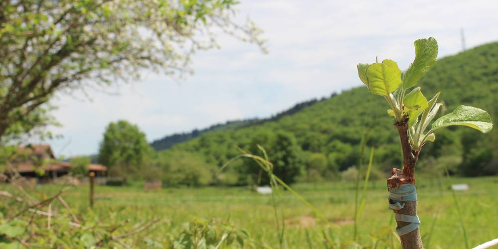  La Ferme de la Rauze (Occitanie, Lot)
