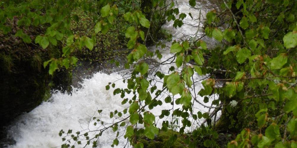 et ..... -  GAEC de Millepertuis (Auvergne-Rhône-Alpes, Puy-de-Dôme)