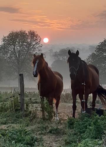levé de soleil sur la vallée (vue du gite) -  LA FERME D'ETIENNETTE (Normandie, Manche)