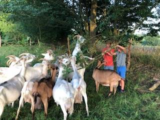 le bonheur des enfants -  LA FERME D'ETIENNETTE (Normandie, Manche)