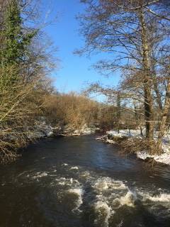les secrets de l'hiver -  LA FERME D'ETIENNETTE (Normandie, Manche)