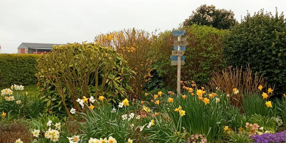  La clé des champs (Hauts-de-France, Nord)