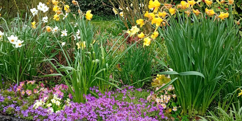 le jardin -  La clé des champs (Hauts-de-France, Nord)
