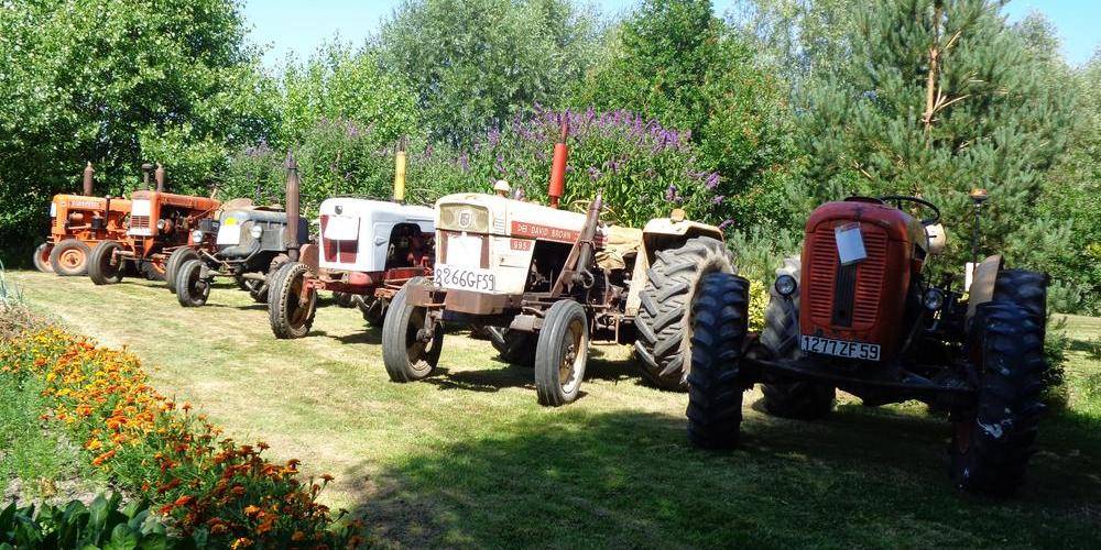 les anciens tracteurs -  La clé des champs (Hauts-de-France, Nord)