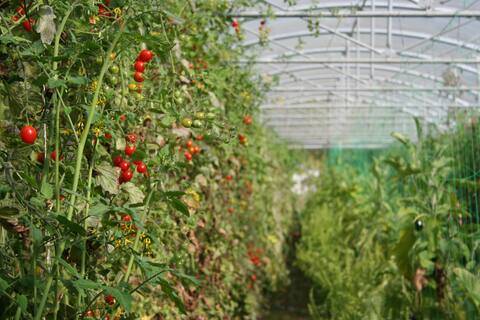  LE GITE DES COCCINELLES (Pays de la Loire, Loire-Atlantique)