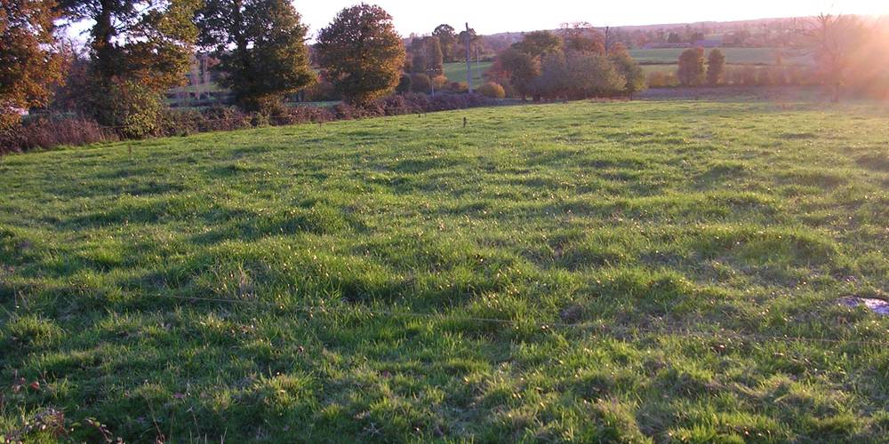 Douceur du bocage -  Terre Compagne (Bretagne, Ille-et-Vilaine)