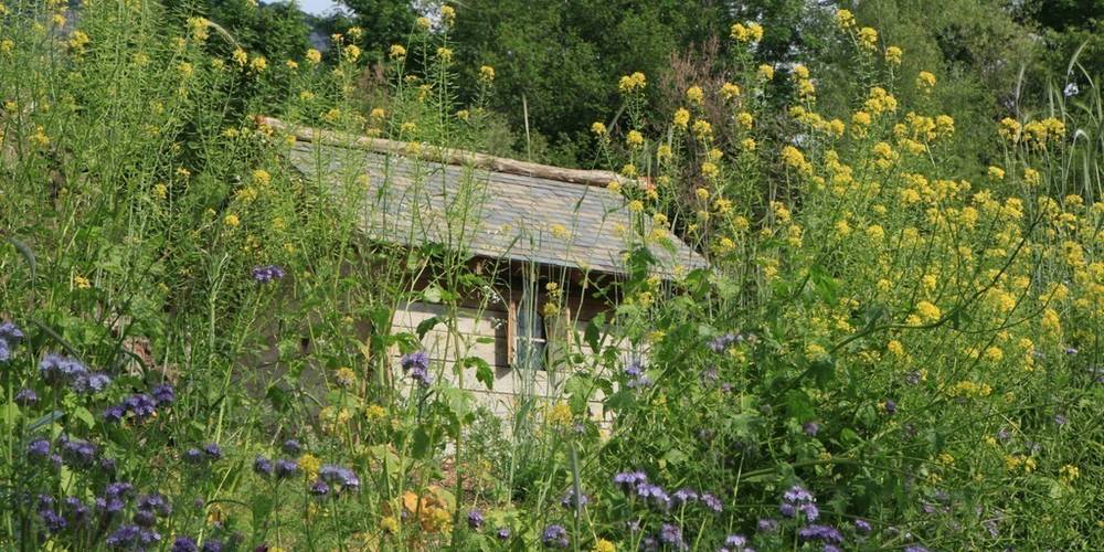  Le jardin de Max et Nana (Auvergne-Rhône-Alpes, Savoie)