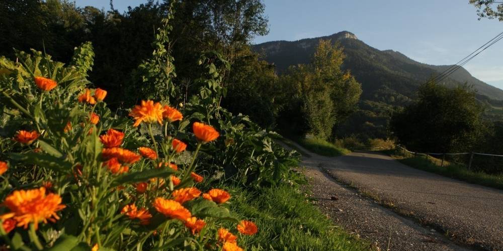  Le jardin de Max et Nana (Auvergne-Rhône-Alpes, Savoie)