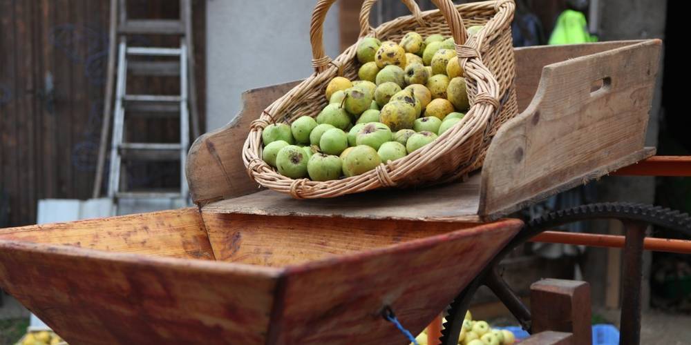  Le jardin de Max et Nana (Auvergne-Rhône-Alpes, Savoie)