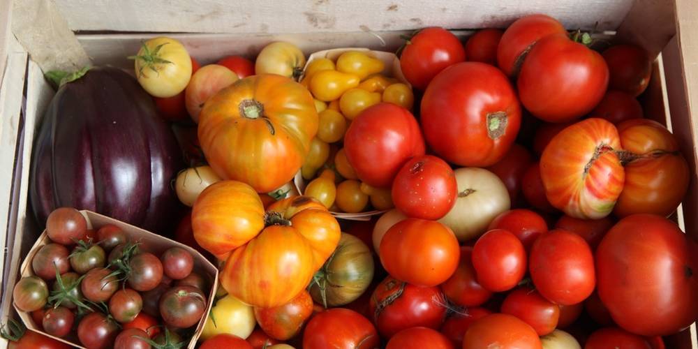  Le jardin de Max et Nana (Auvergne-Rhône-Alpes, Savoie)
