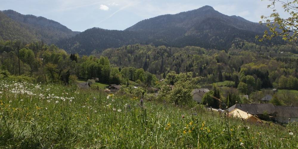  Le jardin de Max et Nana (Auvergne-Rhône-Alpes, Savoie)