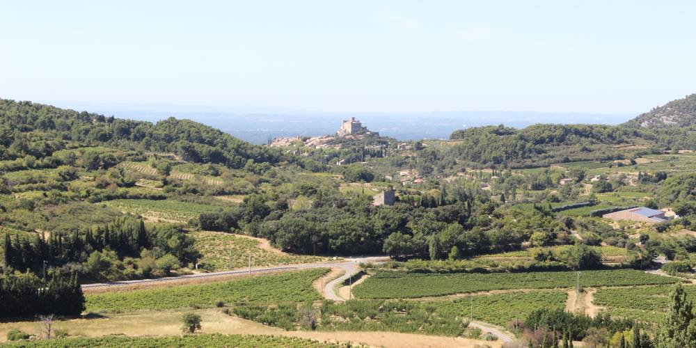 vue sur le village -  Gite de la colline (Provence-Alpes-Côte d’Azur, Vaucluse)