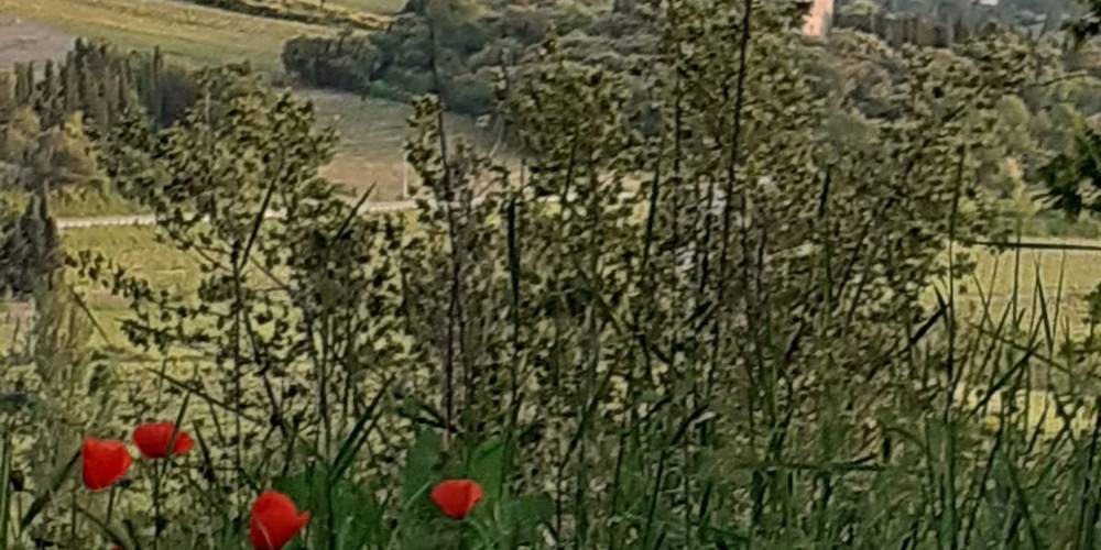 vue sur le village -  Gite de la colline (Provence-Alpes-Côte d’Azur, Vaucluse)
