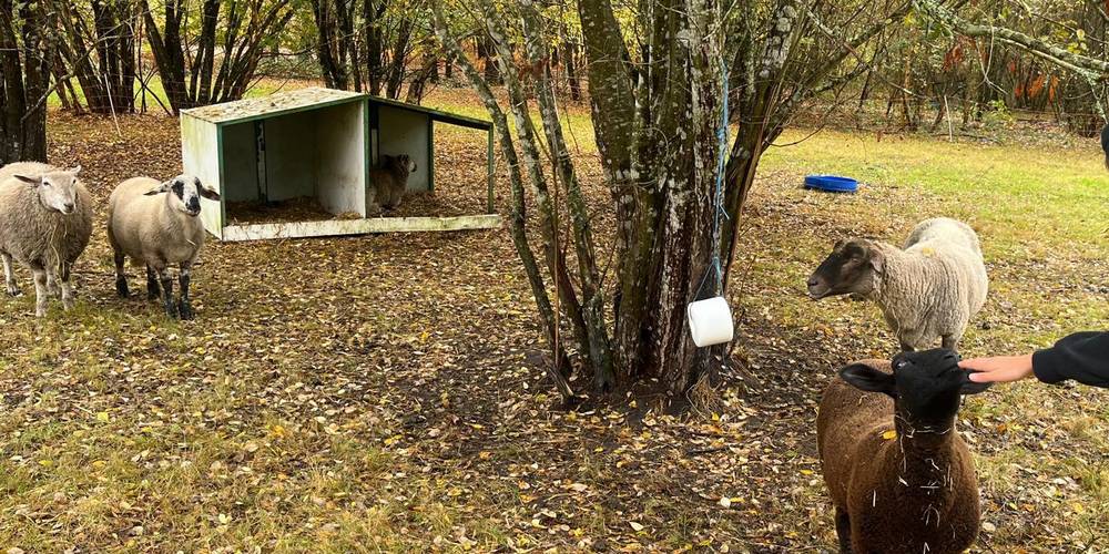  POTABILIS LA FERME A CULTURE (Nouvelle-Aquitaine, Gironde)