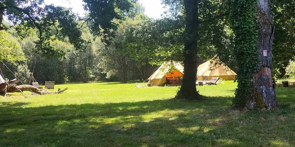 l'airial, aire de camping -  POTABILIS LA FERME A CULTURE (Nouvelle-Aquitaine, Gironde)