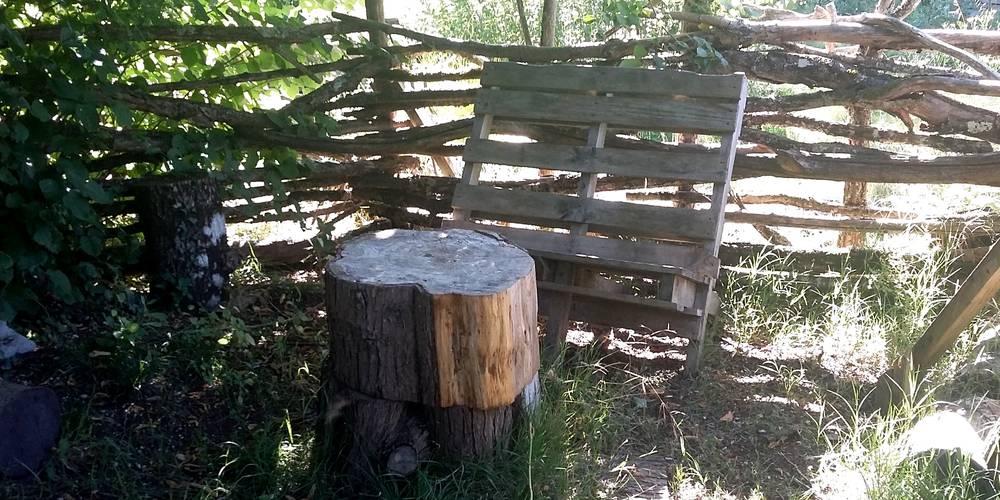 petit coin repos sous les tilleuls -  POTABILIS LA FERME A CULTURE (Nouvelle-Aquitaine, Gironde)